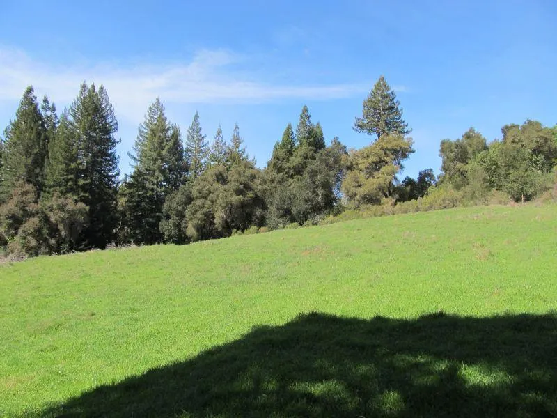 Two Bar Road Boulder Creek, CA 95006