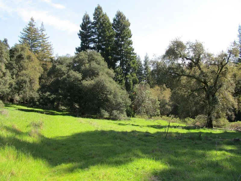 Two Bar Road Boulder Creek, CA 95006