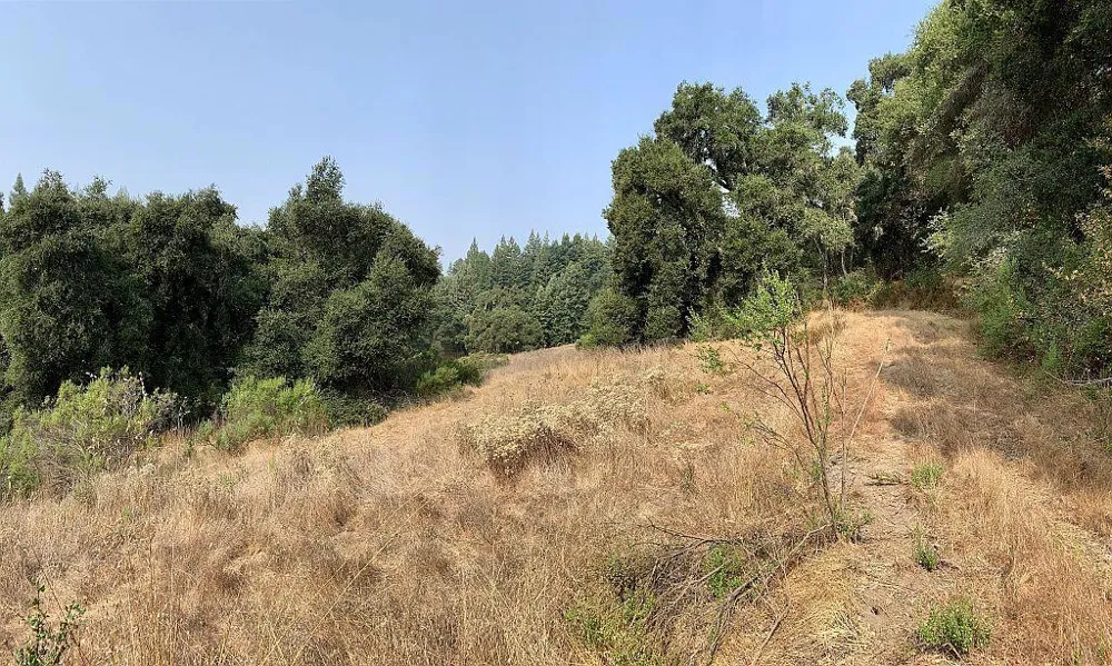 Two Bar Road Boulder Creek, CA 95006