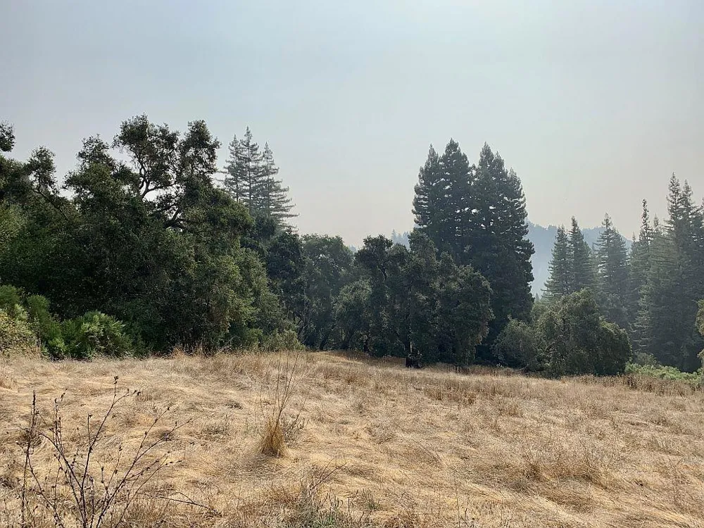 Two Bar Road Boulder Creek, CA 95006