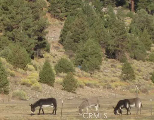 2151 Erwin Ranch Road Big Bear, CA 92314