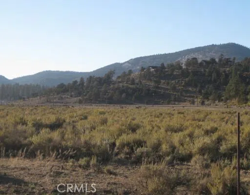 2151 Erwin Ranch Road Big Bear, CA 92314