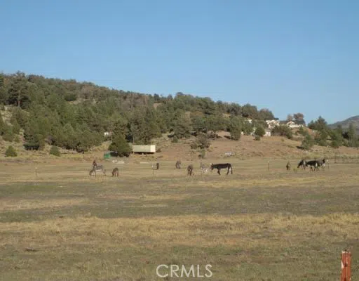 2151 Erwin Ranch Road Big Bear, CA 92314
