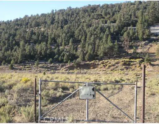 2151 Erwin Ranch Road Big Bear, CA 92314