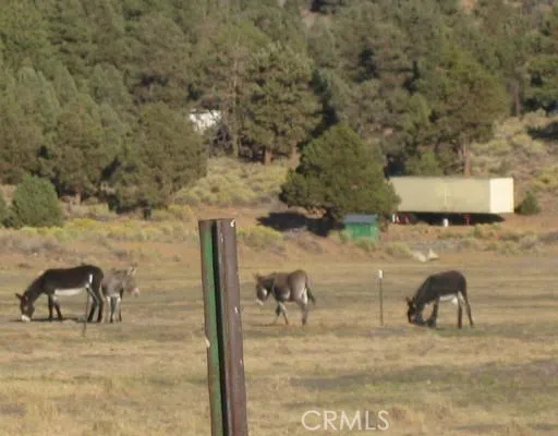 2151 Erwin Ranch Road Big Bear, CA 92314