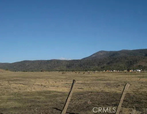 2151 Erwin Ranch Road Big Bear, CA 92314