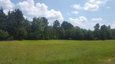 1685 Jaudon Road