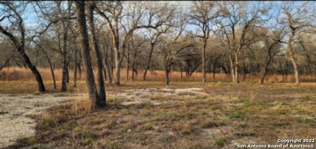 140 Deep Woods Dr Seguin, TX 78155