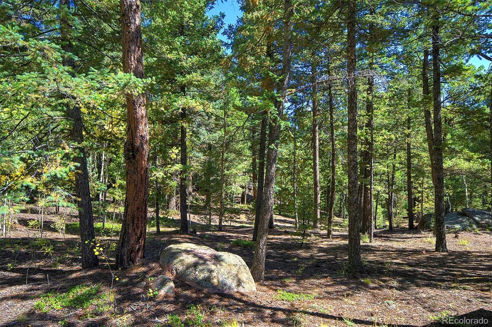 30092 Kings Valley E