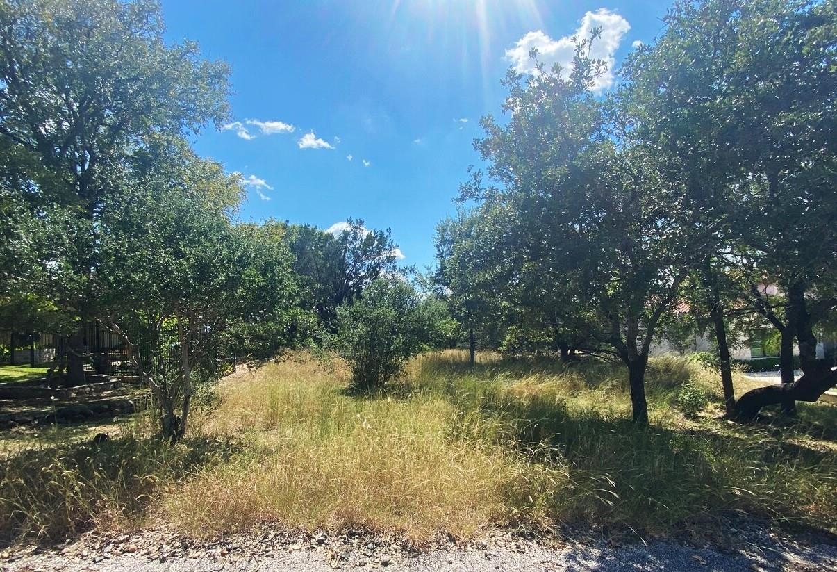 Lt W35105 Lost Nugget