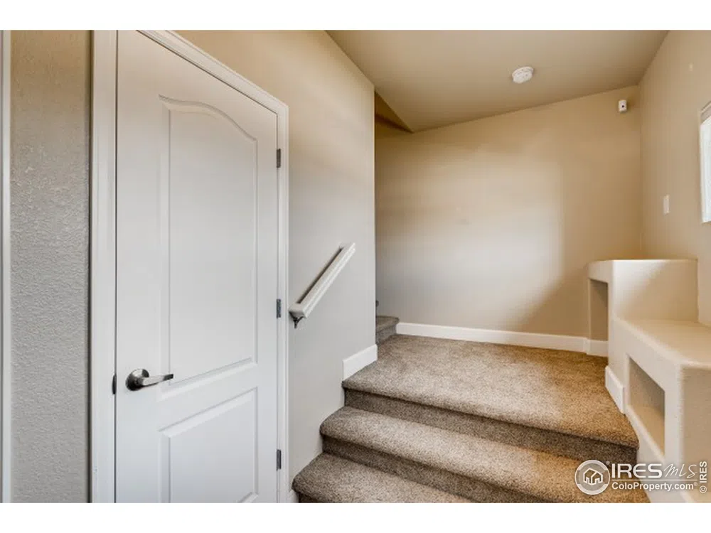 4101 Crittenton Lane #310U Wellington, CO 80549