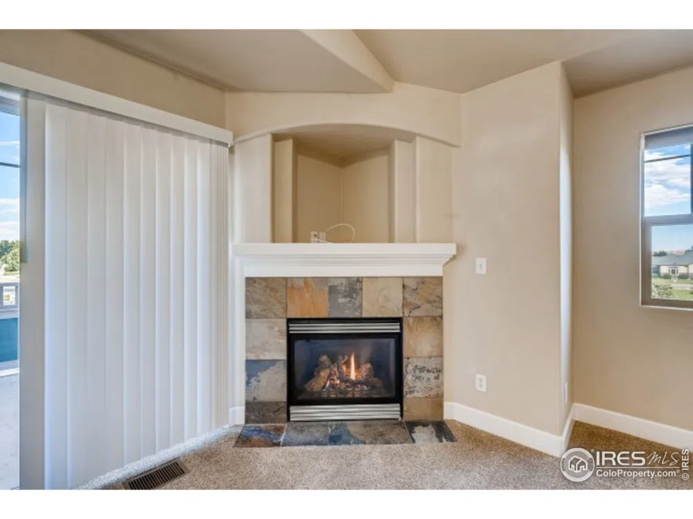 4101 Crittenton Lane #310U Wellington, CO 80549