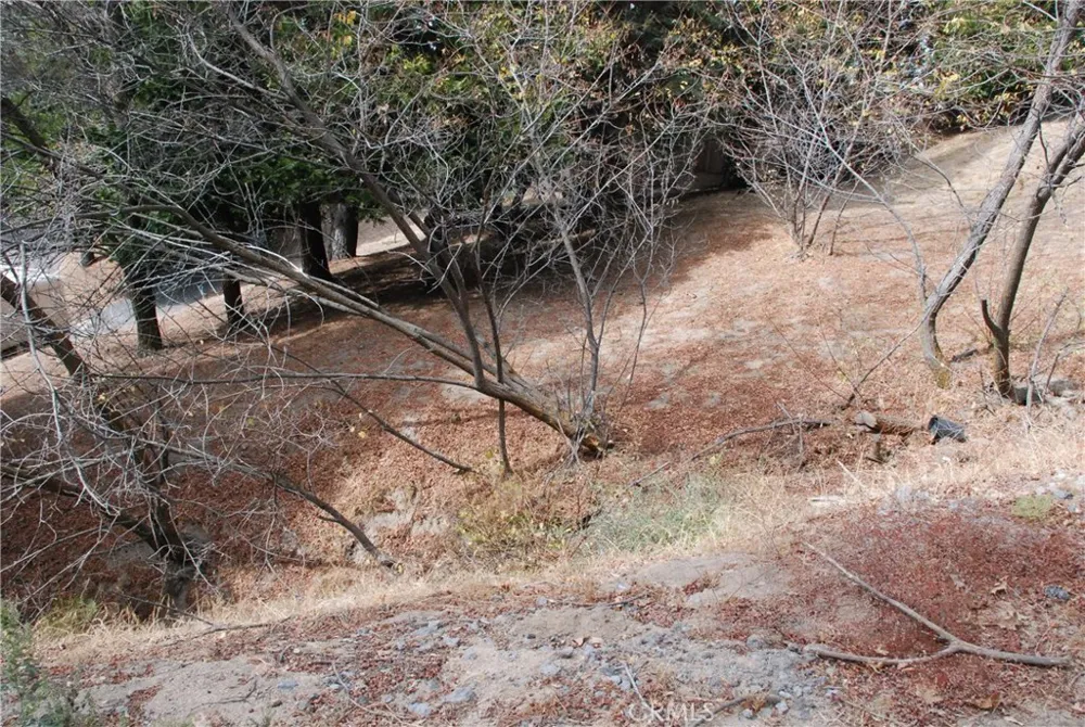 King Crestline, CA 92325