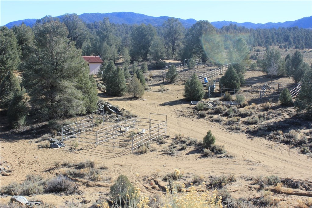 98545 Indian Trail Inyokern, CA 93527