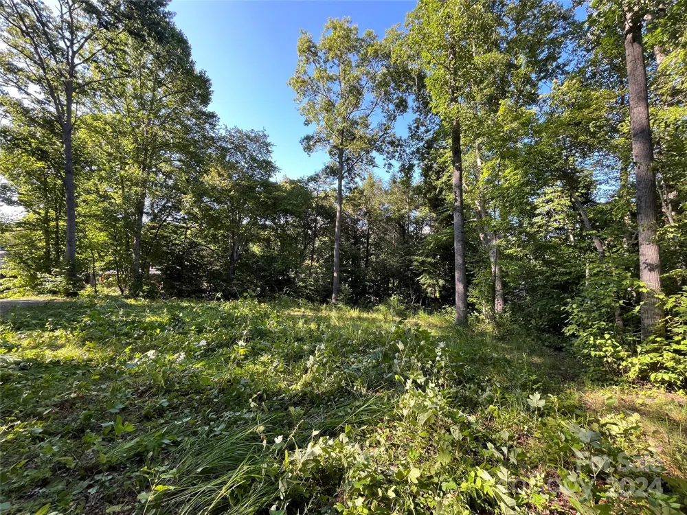 6 & 8 Campbell Street #6/8