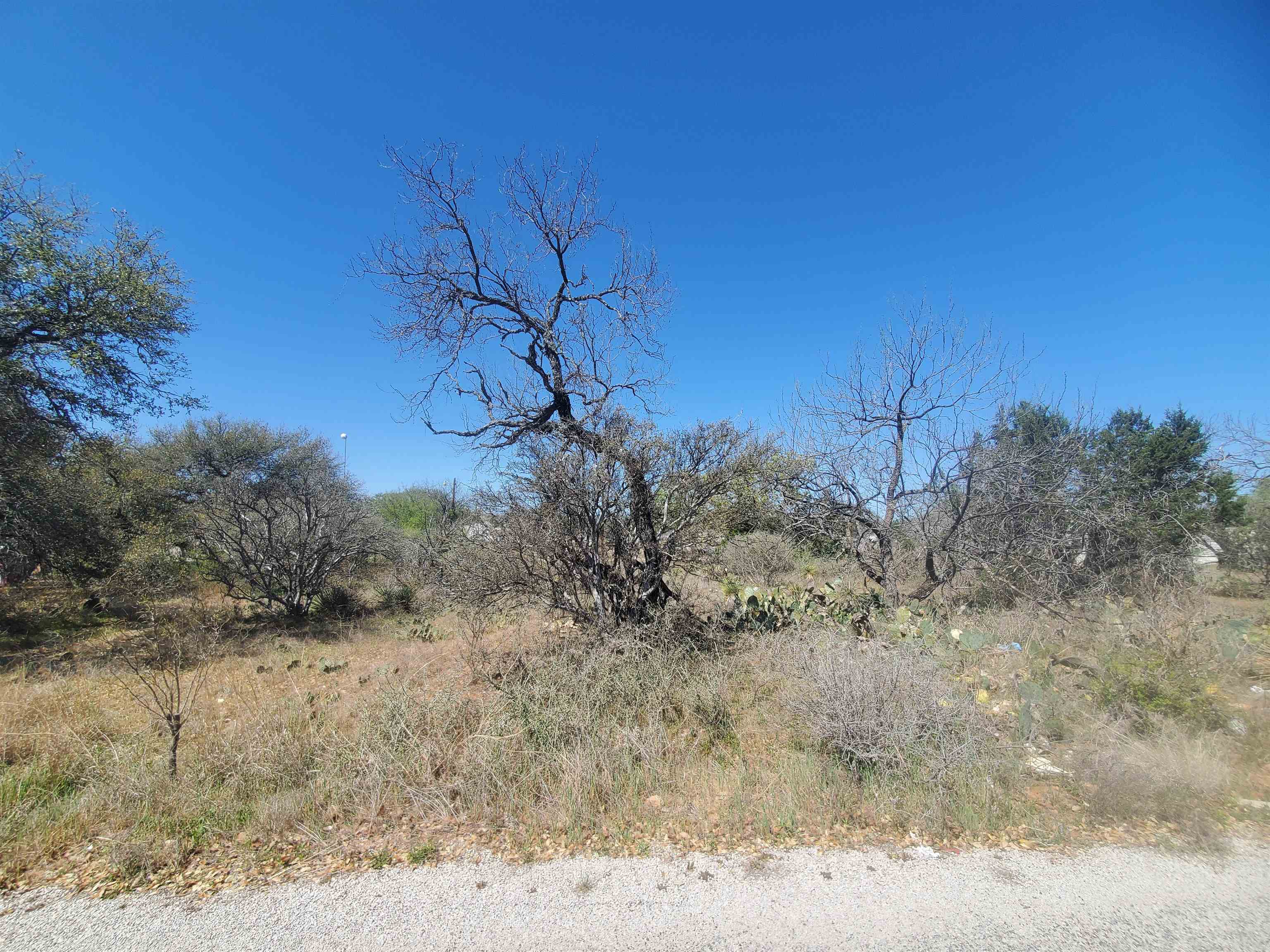 Lots 21, 22 Oleander St.