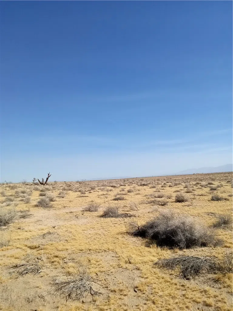 46010334 Near Bellflower Street Adelanto, CA 92301