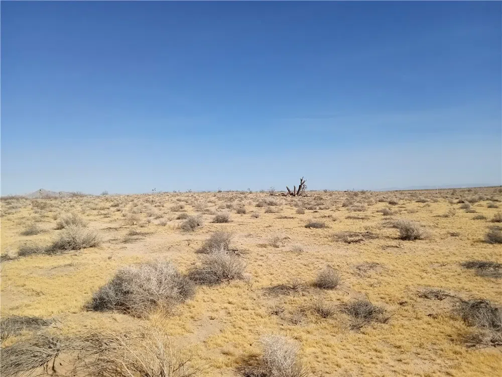 46010334 Near Bellflower Street Adelanto, CA 92301