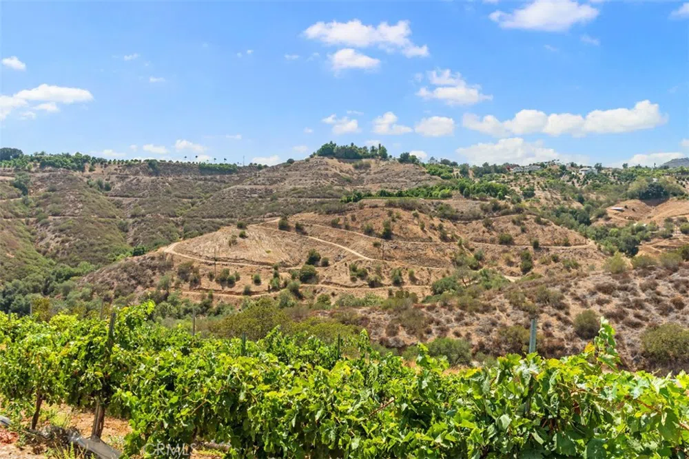 534 Stewart Canyon Road Fallbrook, CA 92028