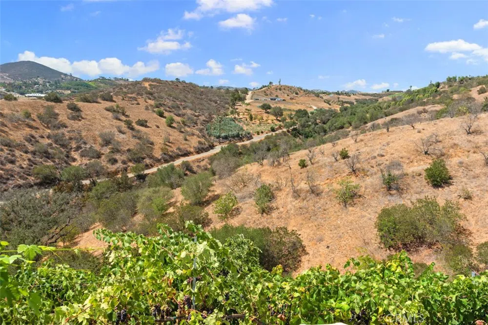 534 Stewart Canyon Road Fallbrook, CA 92028