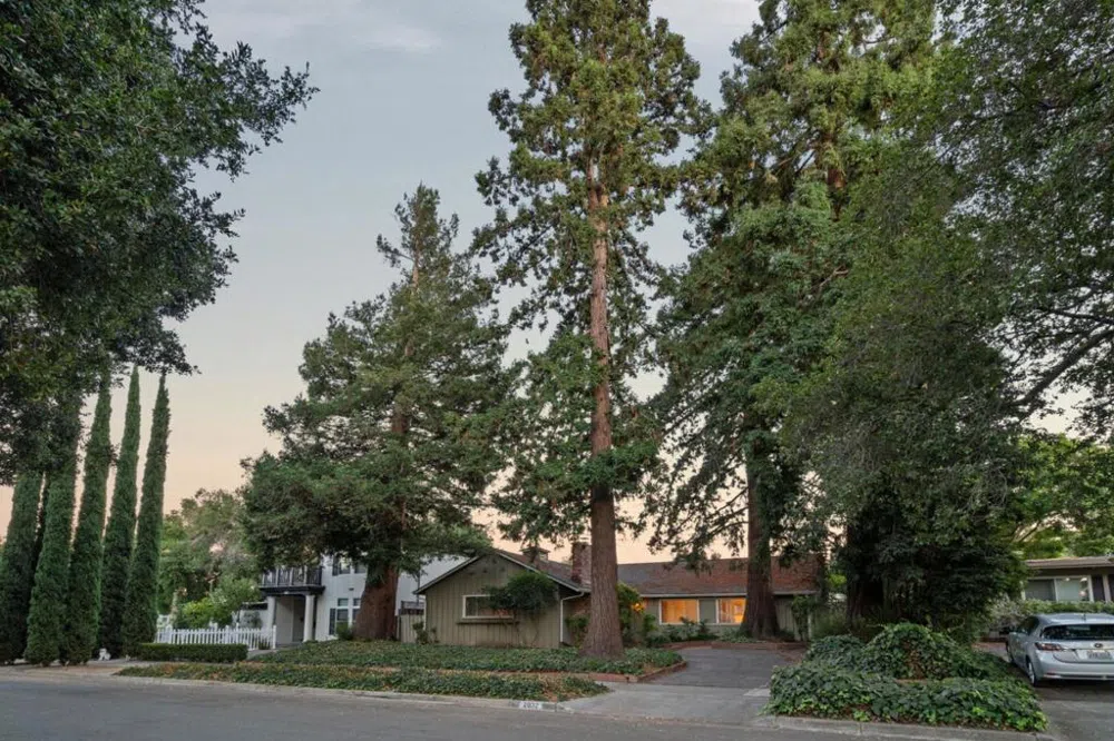2032 Lynwood Terrace San Jose, CA 95128