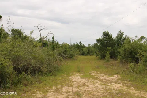 12535 Sweetwater Branch Road
