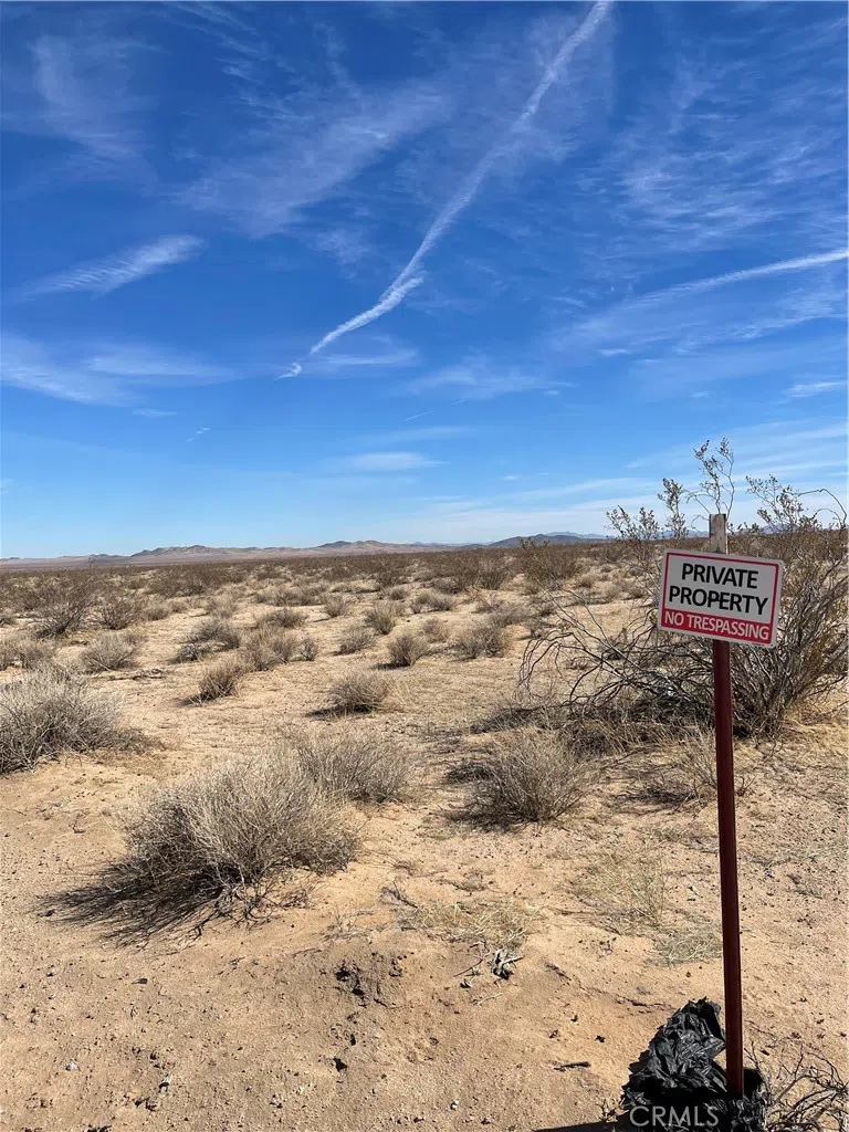 Buckthorne Canyon Road
