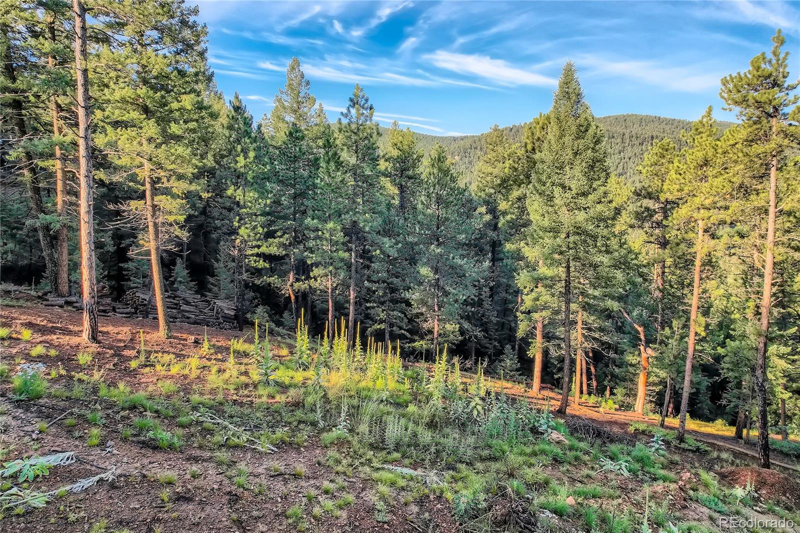 5289 S Algonquin Road