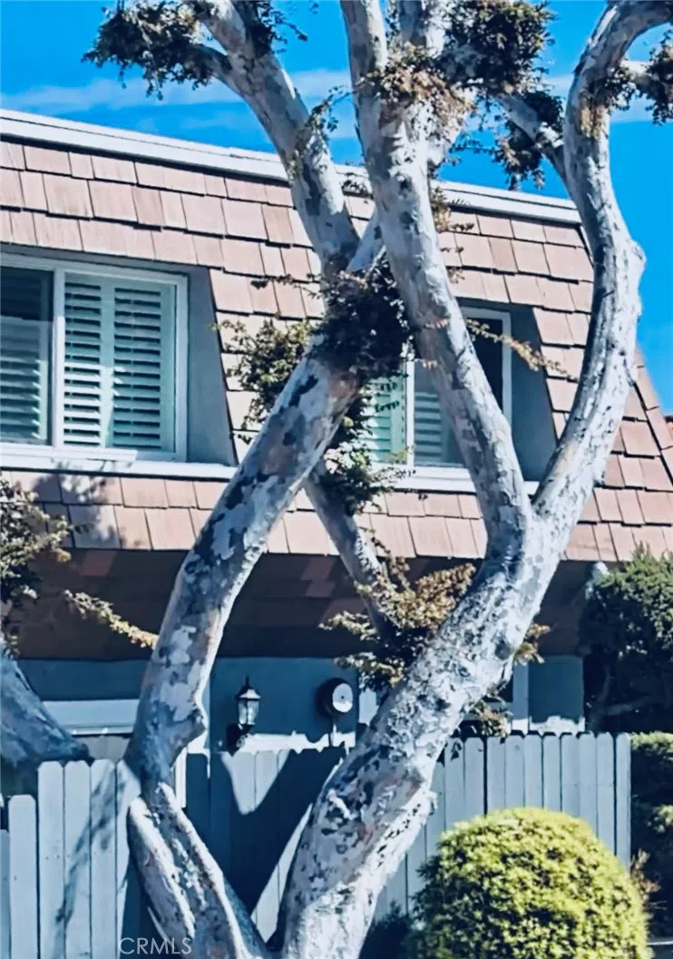 1155 11th Street #15