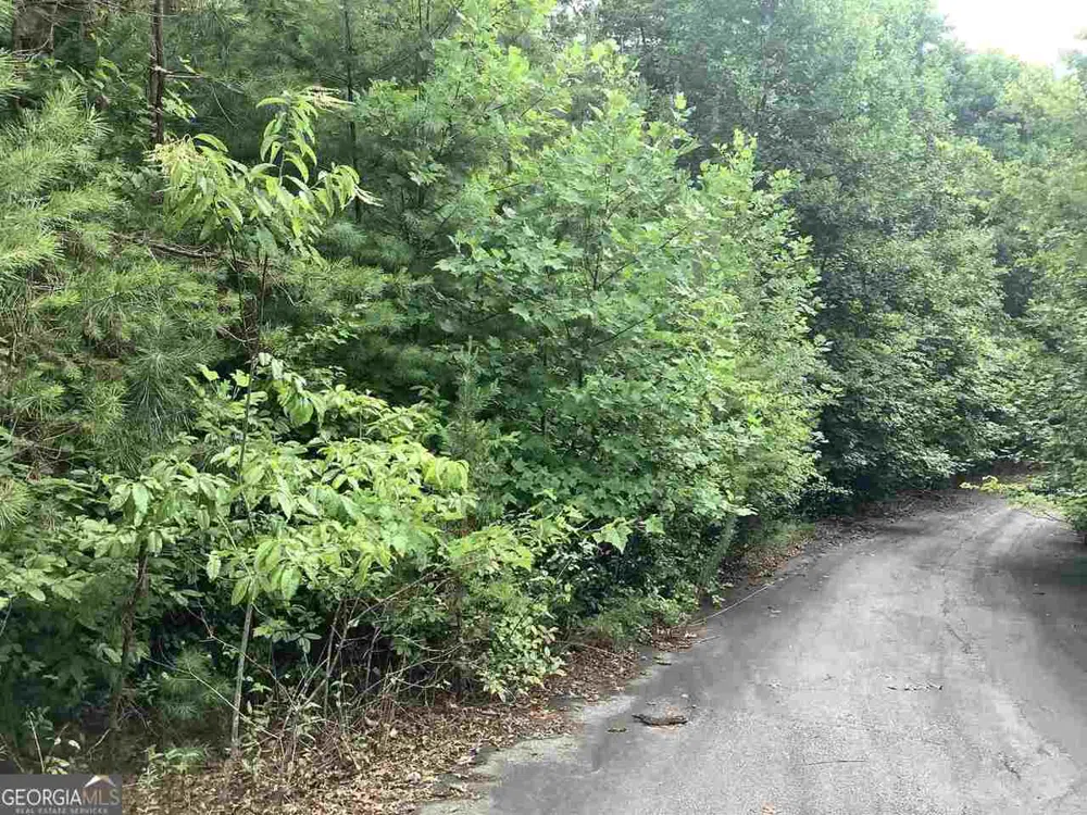 0 Warm Springs Court