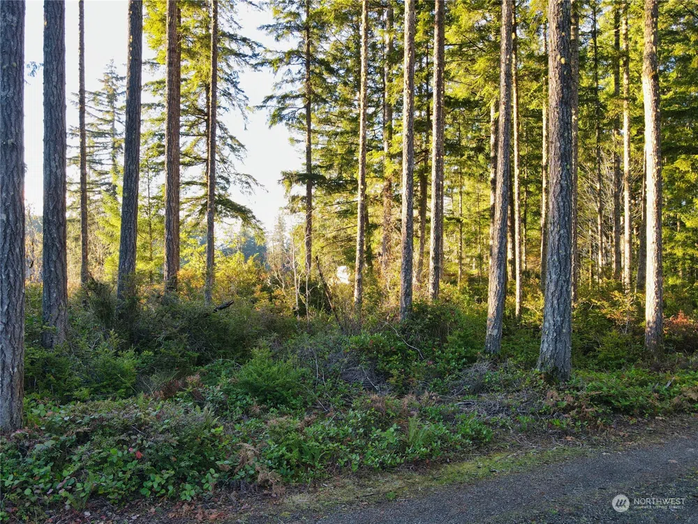 3803 SE Arcadia Road