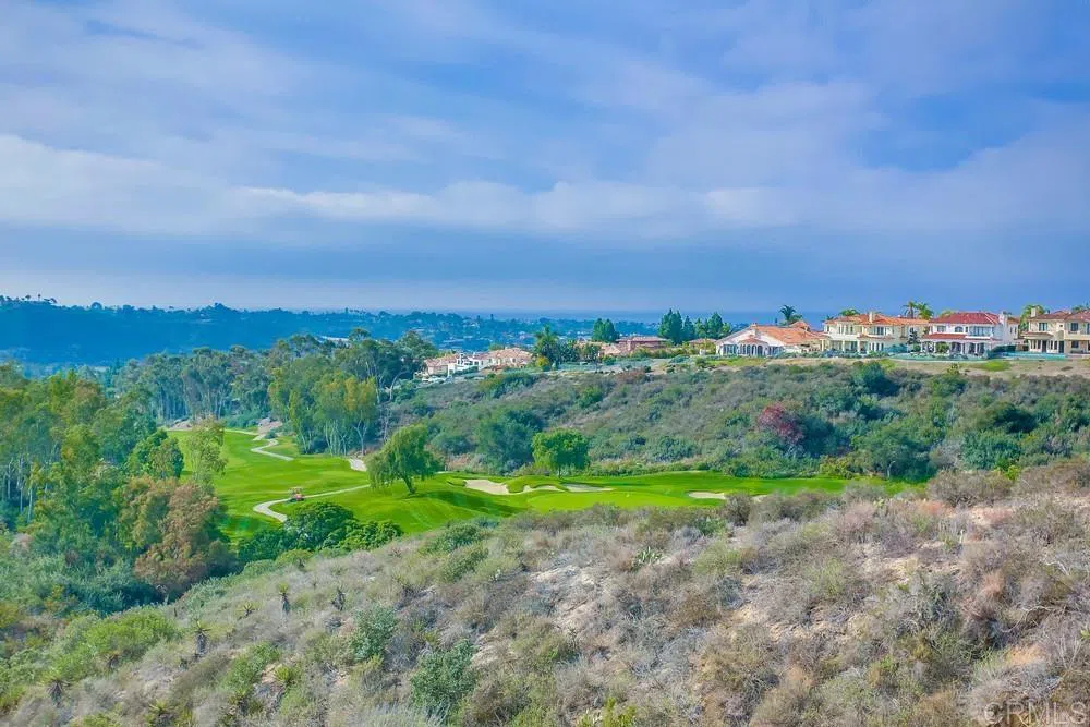 7001 Surfbird Circle Carlsbad, CA 92011