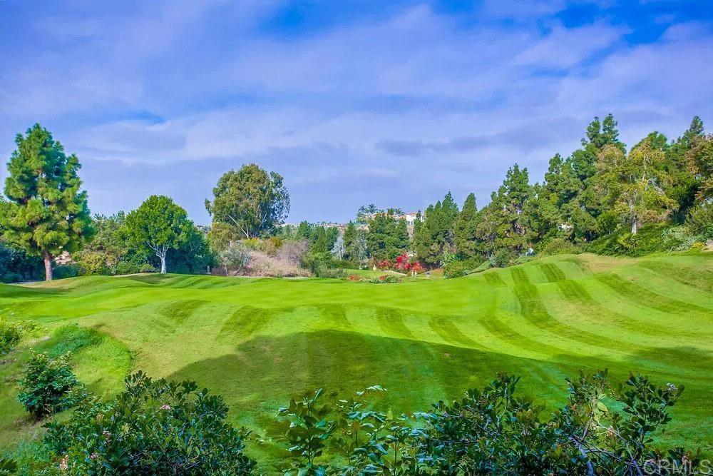 7001 Surfbird Circle Carlsbad, CA 92011