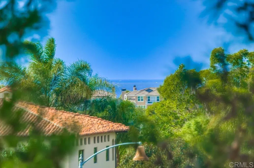 7001 Surfbird Circle Carlsbad, CA 92011
