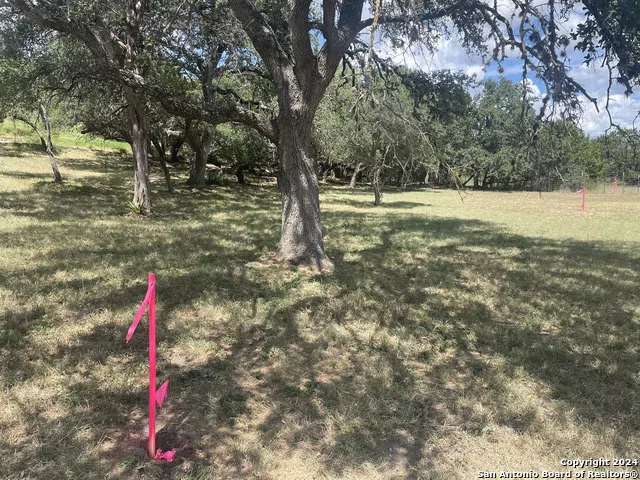 TBD LAVACA Canyon Lake, TX 78133