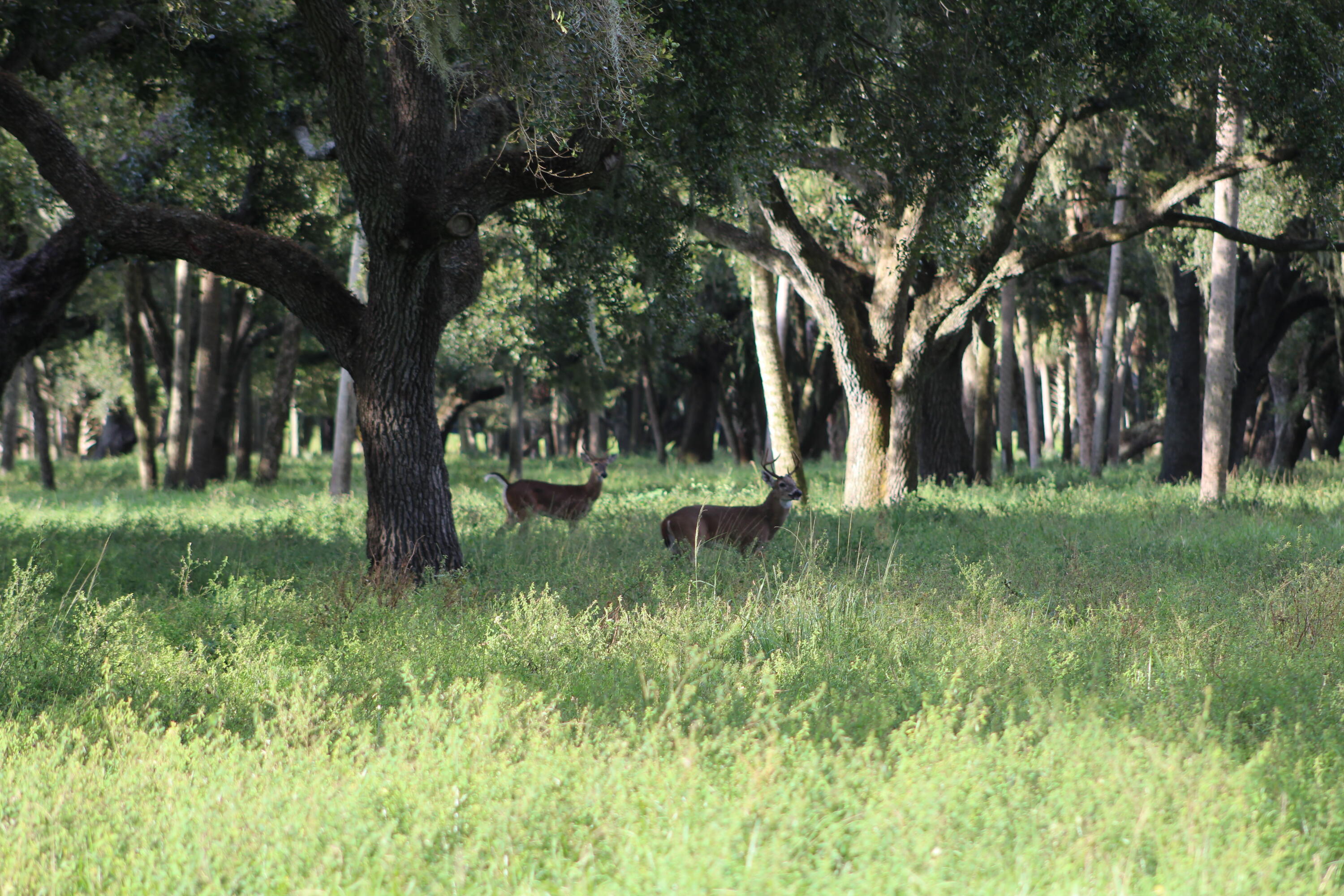 4365 SW Port St Lucie Boulevard