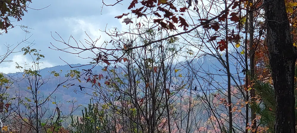 0 Pine Top #LOT HH/20