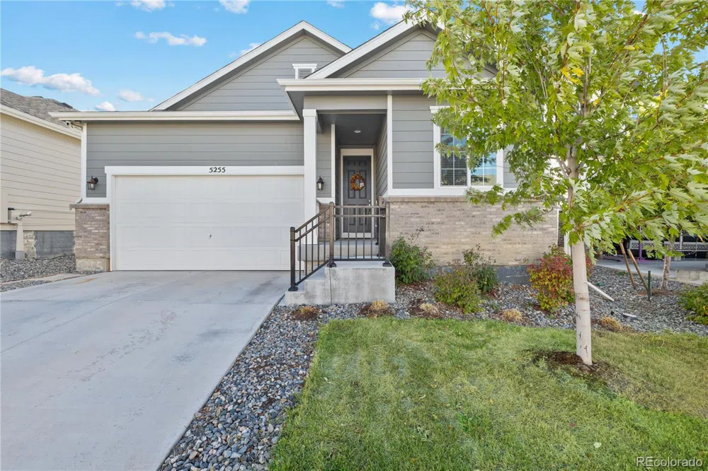 5255 Coltin Trail Castle Rock, CO 80104
