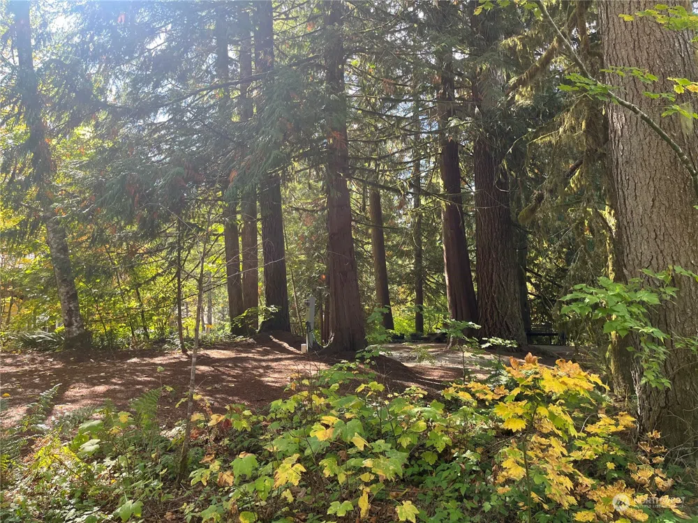 45297 Kamooks Trail #2D-21