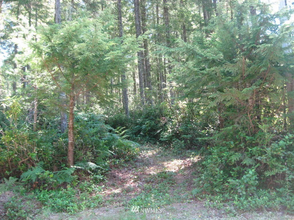 191 NE Raintree Lane