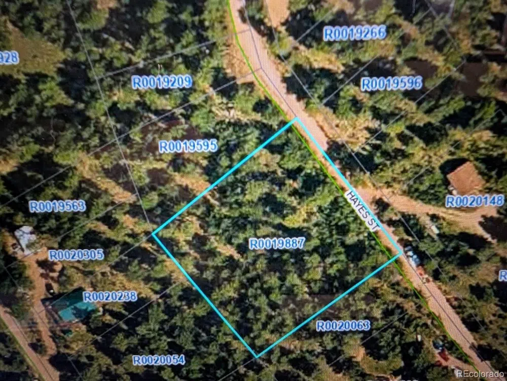 209 Hayes Street Bailey, CO 80421