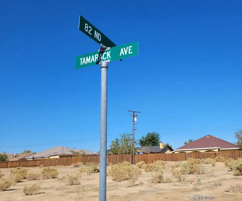 Tamarack Avenue California City, CA 93505