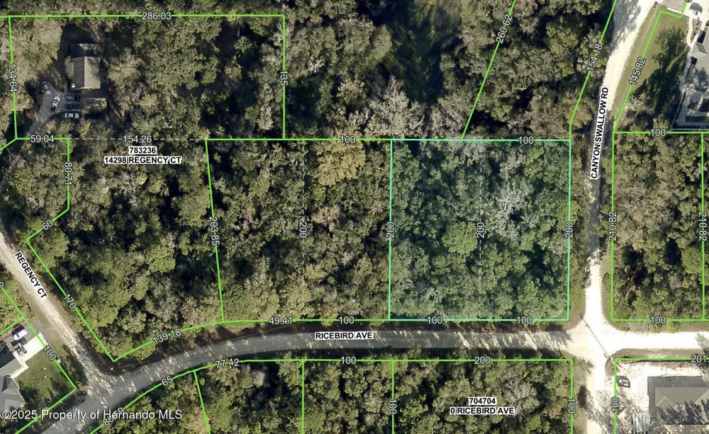 Ricebird (lot 10 & 11) Avenue