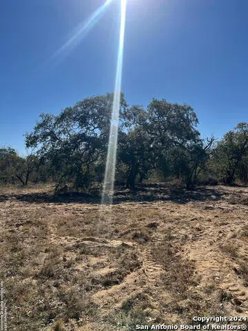 1155 Clear lake loop