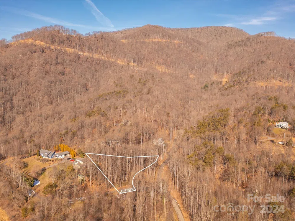 9999 Lovebird Lane #1