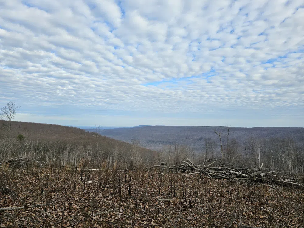 25 Higgenbotham Turnpike