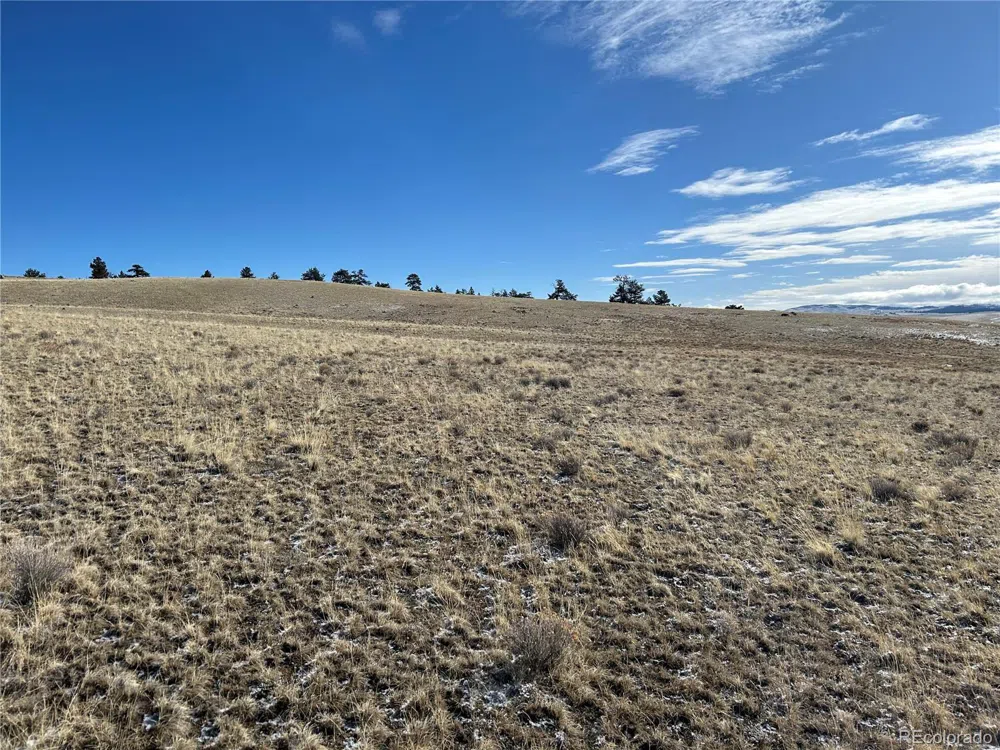 69 Buggy Court Hartsel, CO 80449