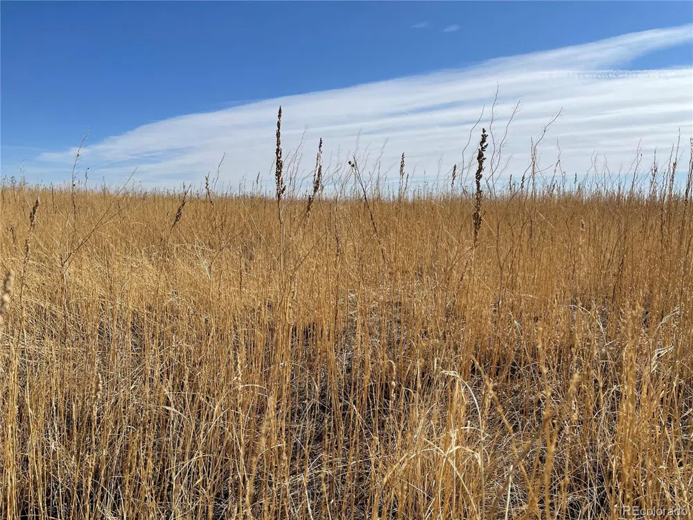 00001 County Road 26