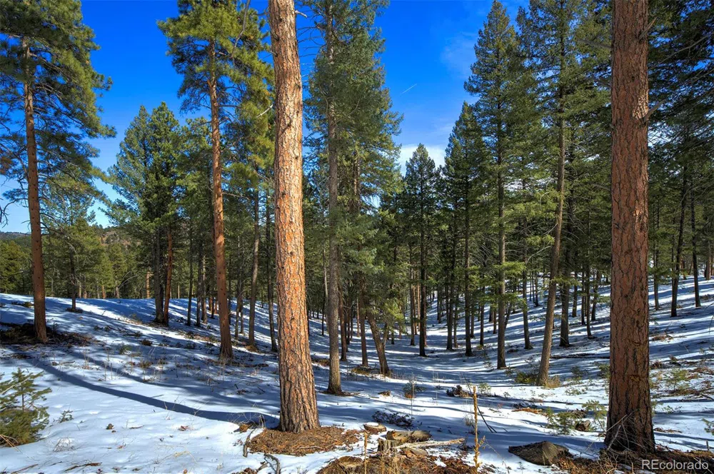 TBD 4 Iowa Gulch Road