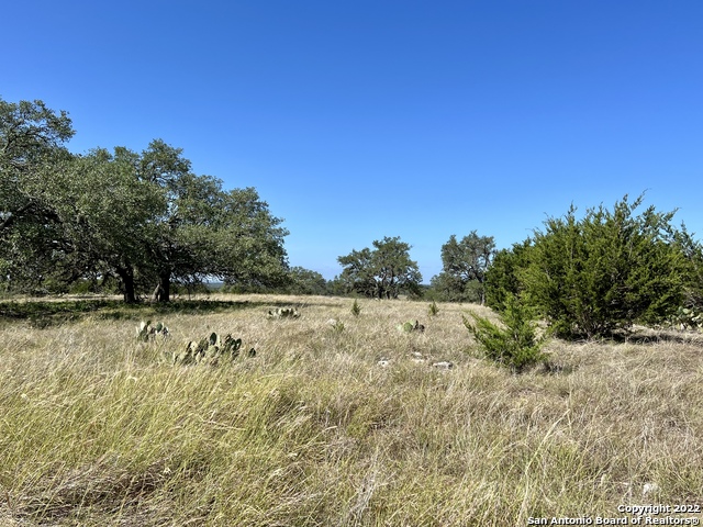 LOT 4 Shapen Springs Rd